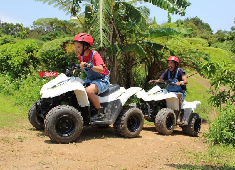 Okinawa ATV Experience in Yanbaruncho Forest - At a glance