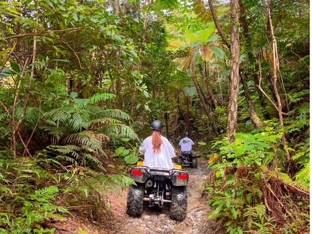 Okinawa ATV Jungle Buggy Tour | No License Required, Rain or Shine, Ages 5+ Welcome | Nago/Nanjo Locations Available - Nago: muddy forest, close turns, and a longer ride