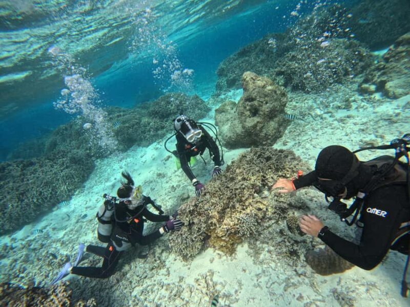 Okinawa Blue Cave Boat Diving in Onna Village| 8 Perks - FAQ