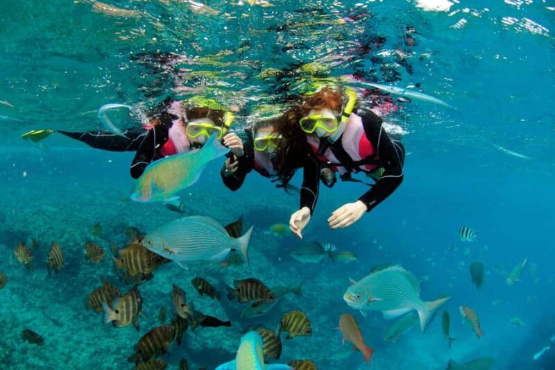 Okinawa Blue Cave Boat Snorkeling in Onna village| 8 Perks - Facilities & Equipment That Add Value