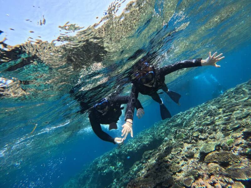 Okinawa Blue Cave Boat Snorkeling in Onna village| 8 Perks - The Sum Up