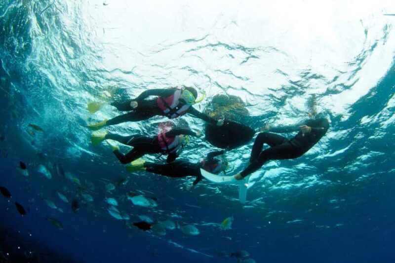 Okinawa Blue Cave Boat Snorkeling in Onna village| 8 Perks - Good To Know