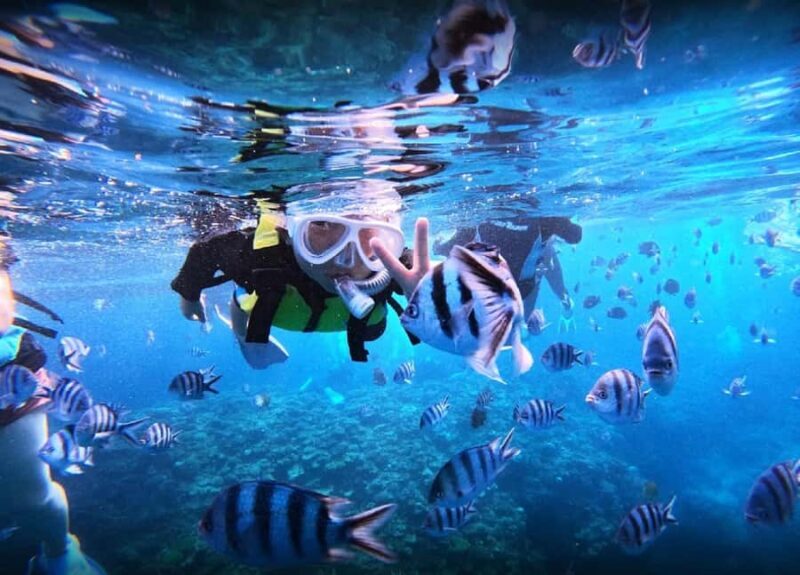 Okinawa: Blue Cave Boat Snorkeling with Free Gopro Photos - An In-Depth Look at the Okinawa Blue Cave Snorkeling Tour