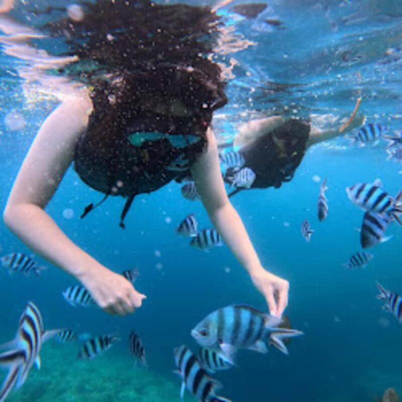 Okinawa: Blue Cave Boat Snorkeling with Free Gopro Photos - FAQ