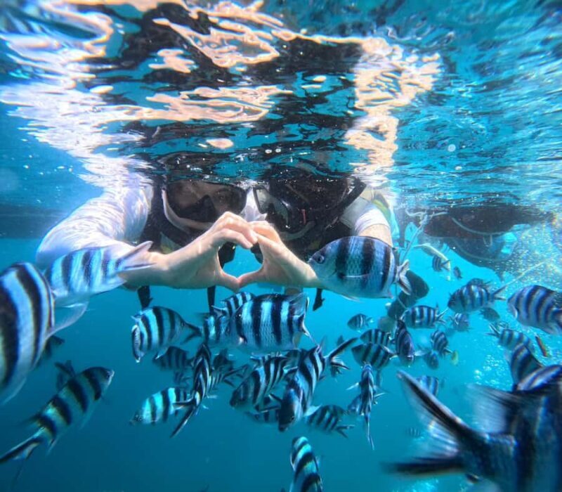 Okinawa: Blue Cave Boat Snorkeling with Free Gopro Photos - Real Experiences from Travelers