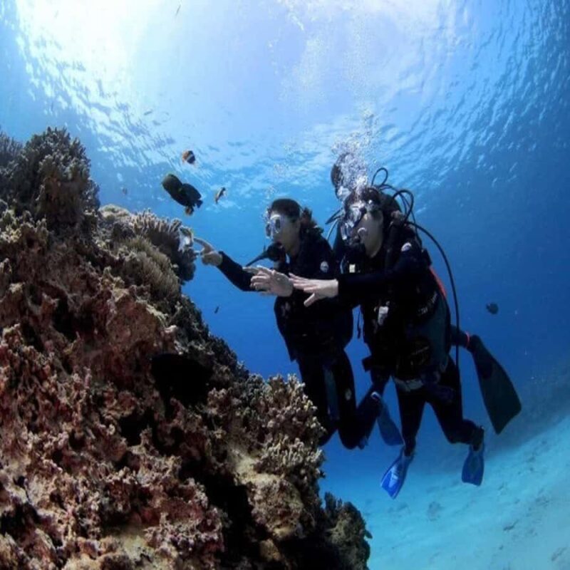 Okinawa: Blue Cave Diving Tour with GoPro Photos - A Closer Look at the Okinawa Blue Cave Tour