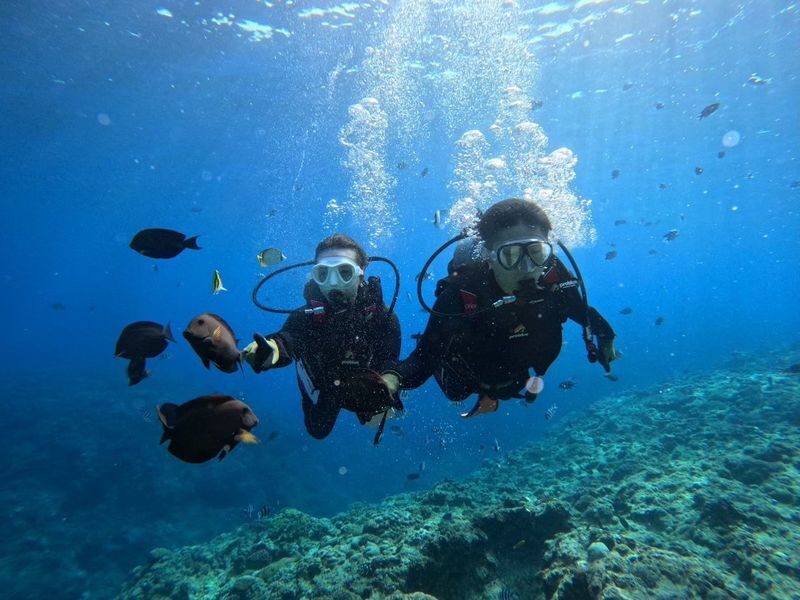 Okinawa: Blue Cave Experience Diving - Includes GoPro Photos & Underwater Fish Feeding (Private Group for Each Booking) - A gentle start for first-time scuba