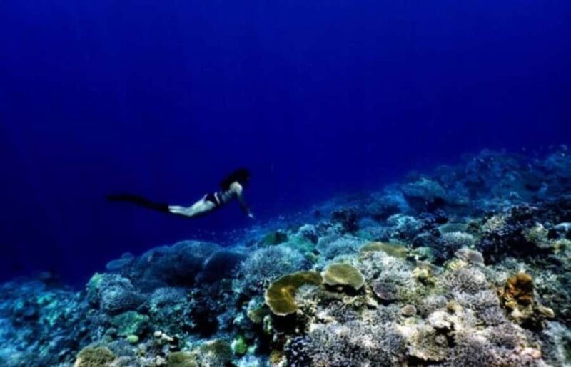 Okinawa: Blue Cave Freediving Tour with GoPro Photos - Good To Know