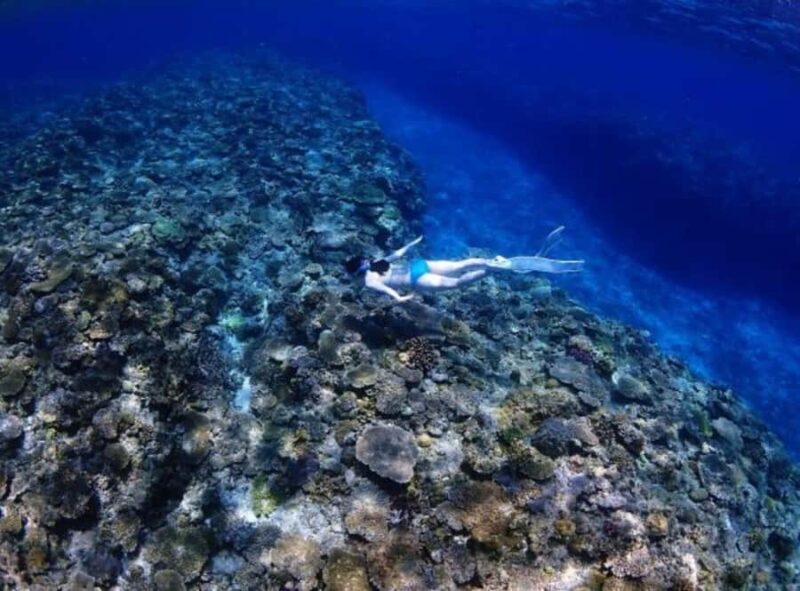 Okinawa: Blue Cave Freediving Tour with GoPro Photos - FAQs