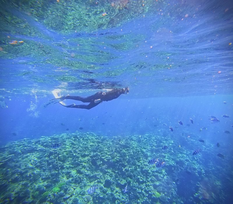 Okinawa Blue Cave Fun Free Diving (Boat entry/Free photography) - What happens during the two-hour outing