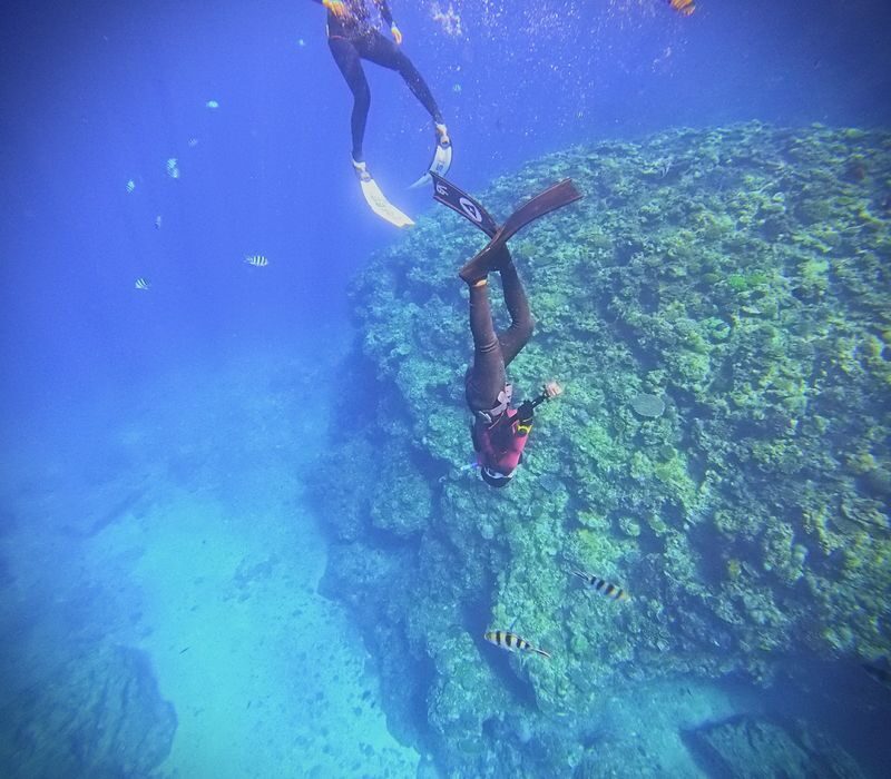 Okinawa Blue Cave Fun Free Diving (Boat entry/Free photography) - What the price includes, and what it does not