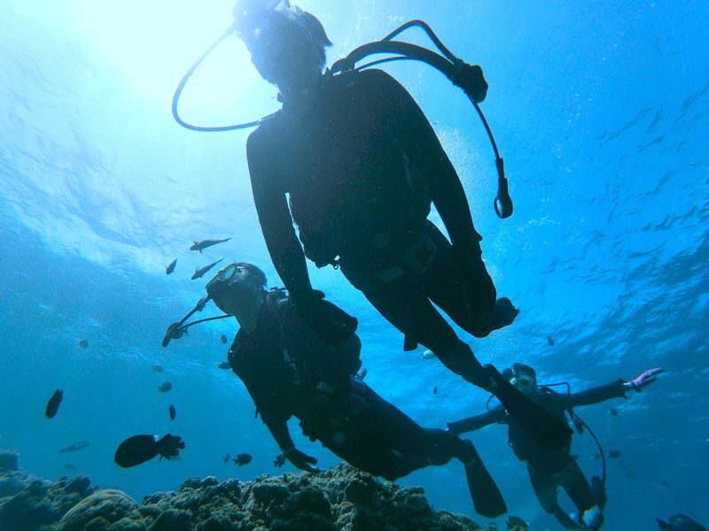 Okinawa: Blue Cave Introductory Dive (Boat Trip) - Price and what you get for it