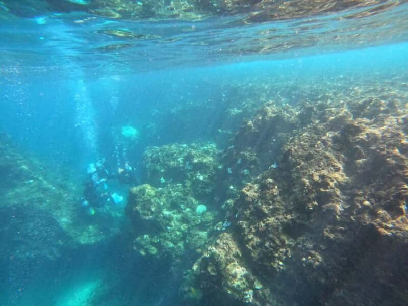 Okinawa: Blue Cave Private Snorkeling Tour with Guide - Practical Tips for Booking and Enjoying the Tour