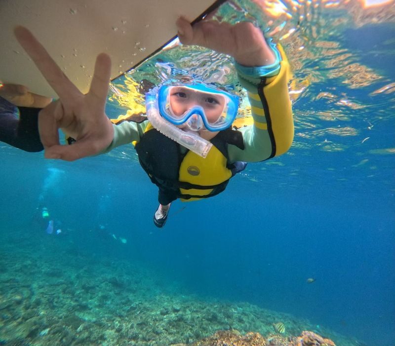 Okinawa: Blue Cave Snorkeling and Diving (Supports Chinese/English/Japanese/Korean) - Who should book this outing?