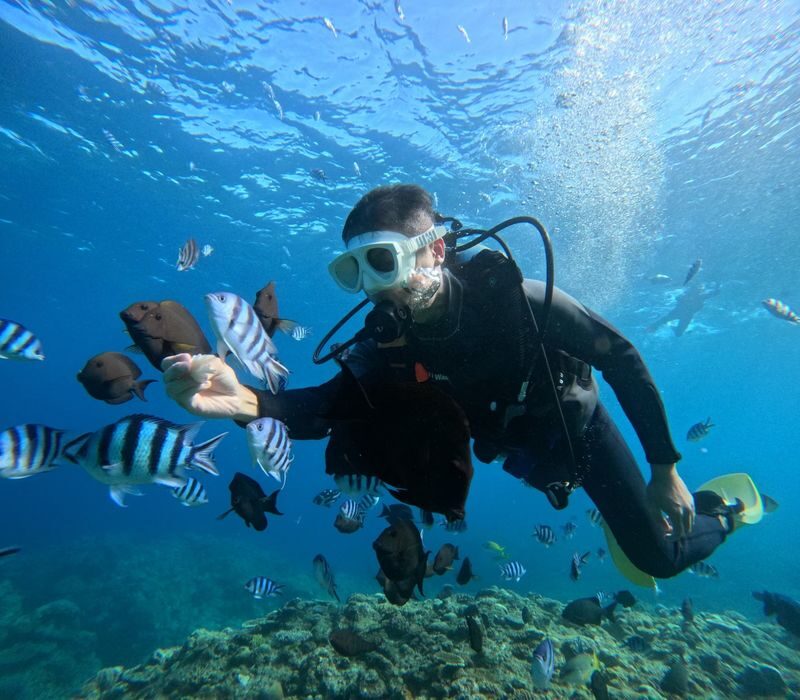 Okinawa: Blue Cave Snorkeling and Diving (Supports Chinese/English/Japanese/Korean) - Should you book the Blue Cave tour?