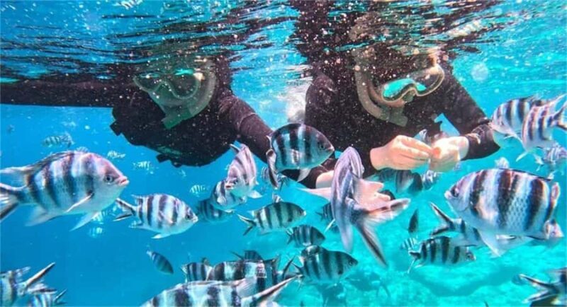 Okinawa: Blue Cave Snorkeling Tour Free Parking for Drivers - Practical Details and Value