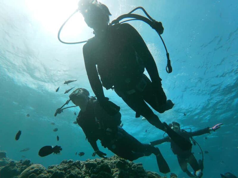 Okinawa BlueCaveIntroDiving in Onna village(free benefits) - Good To Know