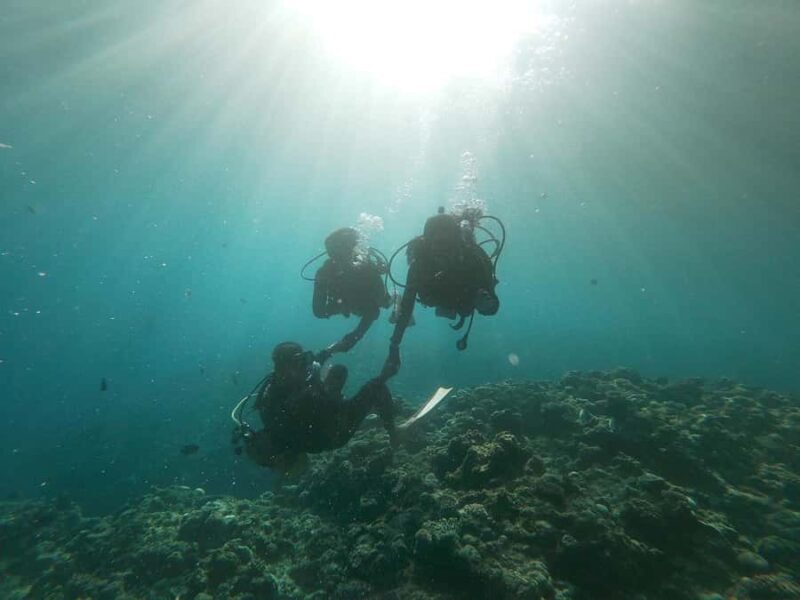 Okinawa BlueCaveIntroDiving in Onna village(free benefits) - Is This Tour Worth It?
