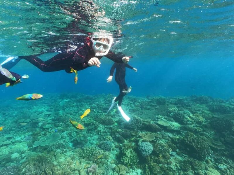 Okinawa: Boat Snorkeling at Minna, Sesoko or Motobu - An In-Depth Look at the Okinawa Snorkeling Experience