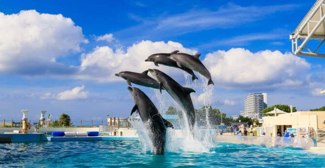 Okinawa: Bus Tour to Churaumi Aquarium With Sightseeing - Key Landmarks to Visit