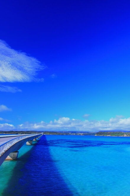 Okinawa: Bus Tour to Churaumi Aquarium With Sightseeing - Pickup Locations