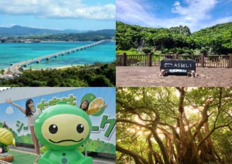 Okinawa: Bus Tour to Yanbaru National Park and Kouri Island - Good To Know