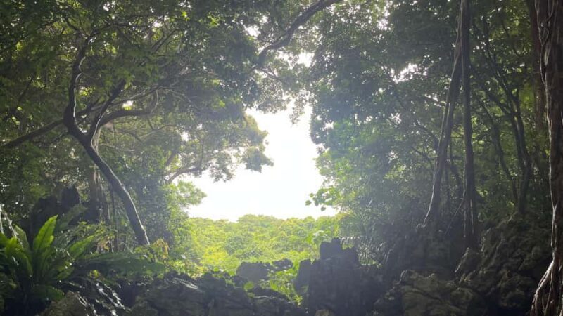 Okinawa: Bus Tour to Yanbaru National Park and Kouri Island - FAQs