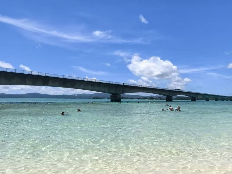 Okinawa Cape Manzamo & Churaumi Aquarium Full-Day Tour - Key points before you book