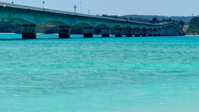 Okinawa Cape Manzamo & Churaumi Aquarium Full-Day Tour - Churaumi Aquarium: allow for a substantial visit
