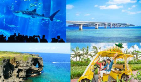 Okinawa Churaumi Aquarium & Kouri Island Full-Day Sightseeing Bus Tour - A full day in northern Okinawa without a rental car