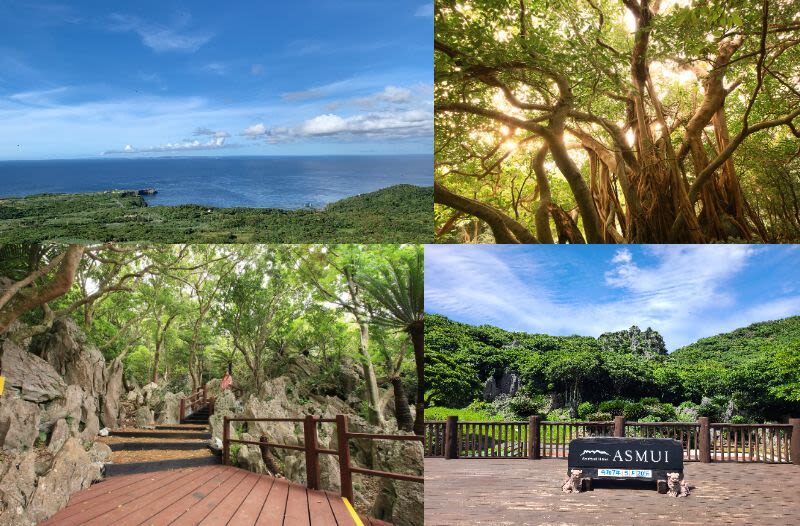Okinawa Churaumi Aquarium & Kouri Island Full-Day Sightseeing Bus Tour - Pineapple Park: playful, but not for everyone