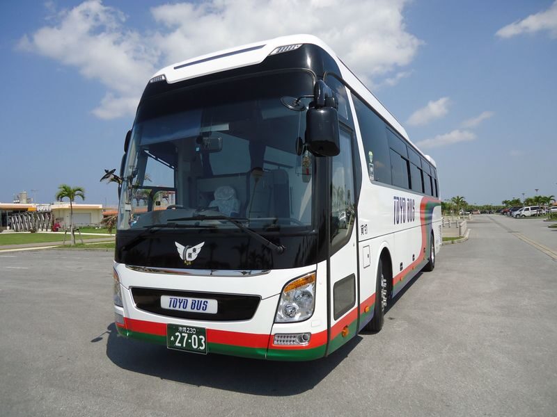Okinawa Churaumi Aquarium & Kouri Island Full-Day Tour - Pineapple Park and the shopping stop