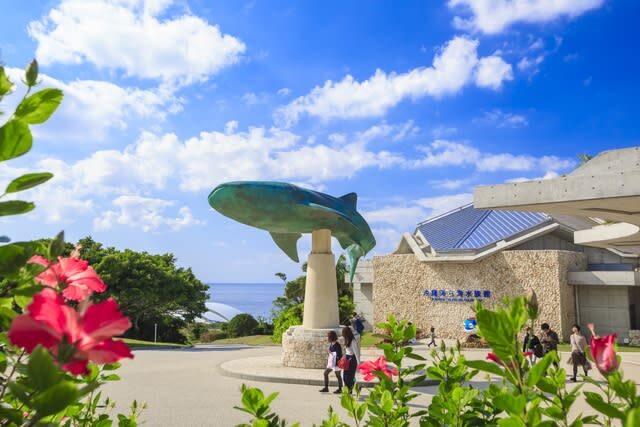 Okinawa Churaumi Aquarium Ticket - Who will enjoy this aquarium most?