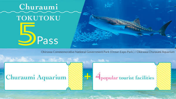 Okinawa Churaumi TokuToku 5 Pass / 3 Pass - At a glance