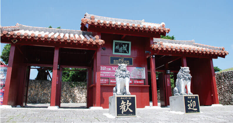 Okinawa Churaumi TokuToku 5 Pass / 3 Pass - Who will get the most from it