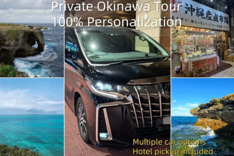 Okinawa Classic Highlights & Flexible Routes: Private Tour - Good To Know