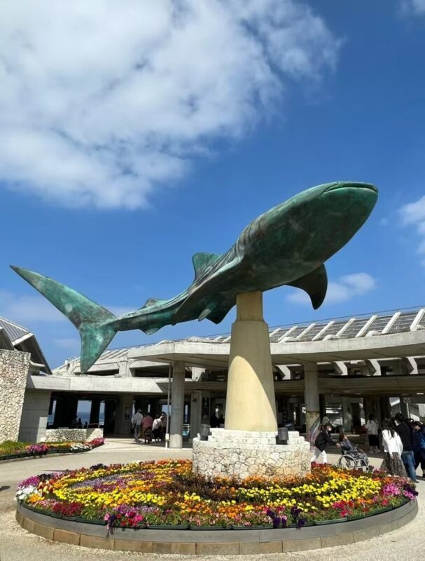 Okinawa day trip private car charter - choose from classic routes & pick-up/drop-off from north/central/south/cruise port/airport/hotel + customizable itinerary - Making a long day work for your group