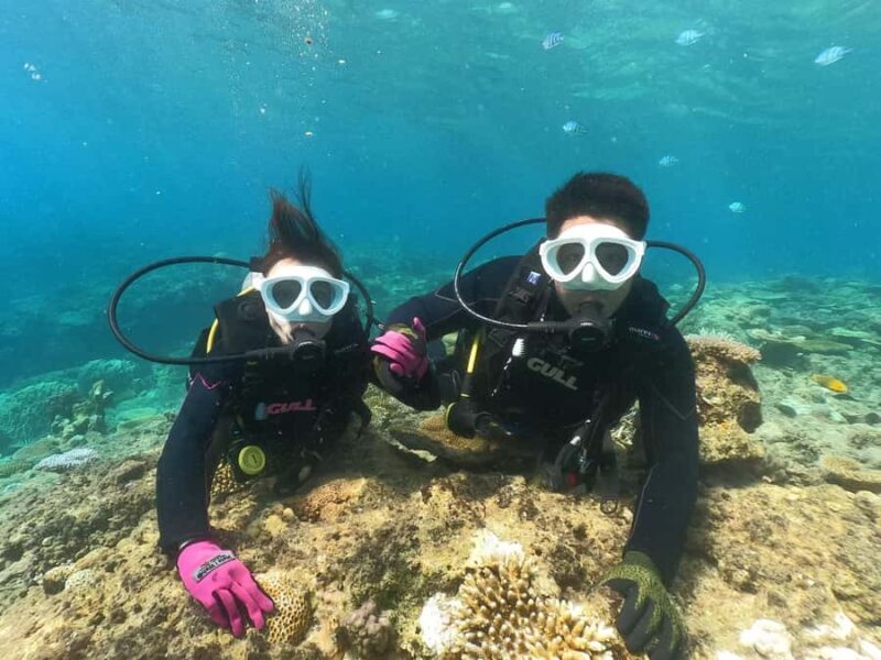 Okinawa: Discover SCUBA Diving at Minna, Sesoko or Motobu - Good To Know