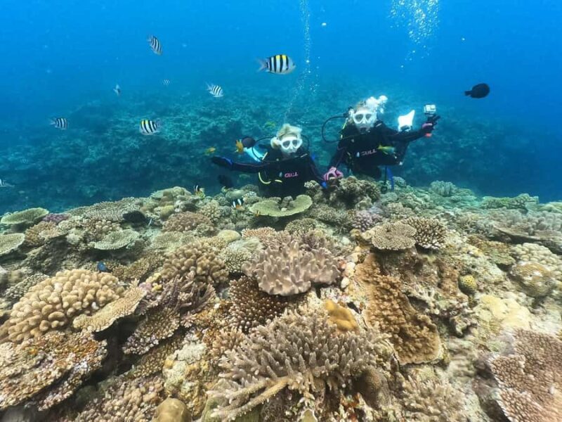 Okinawa: Discover SCUBA Diving at Minna, Sesoko or Motobu - An In-Depth Look at the Okinawa SCUBA Tour