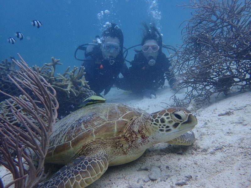 Okinawa Dream Reef | Easy Boat Trip! Snorkeling & Scuba Diving Experience | Free Unlimited Photos & Videos | Chinese Coach - A calm start matters for beginners