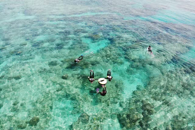 Okinawa EGG diving Cosplay & Snorkeling Experience - Who should book this outing?