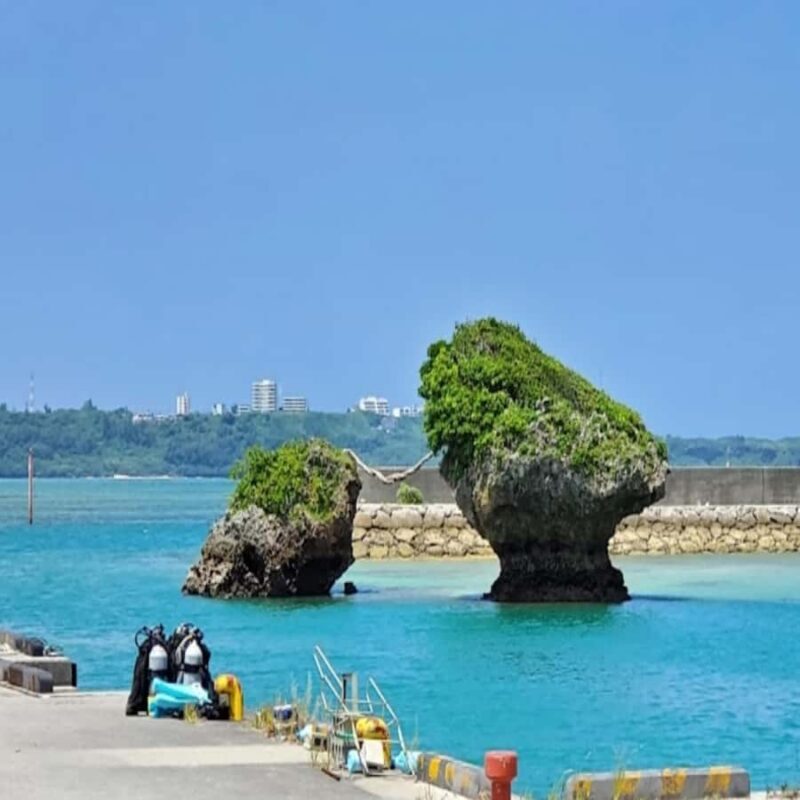 Okinawa: Emerald Sea SUP Tour with GoPro Photos - Who Will Love This Tour?