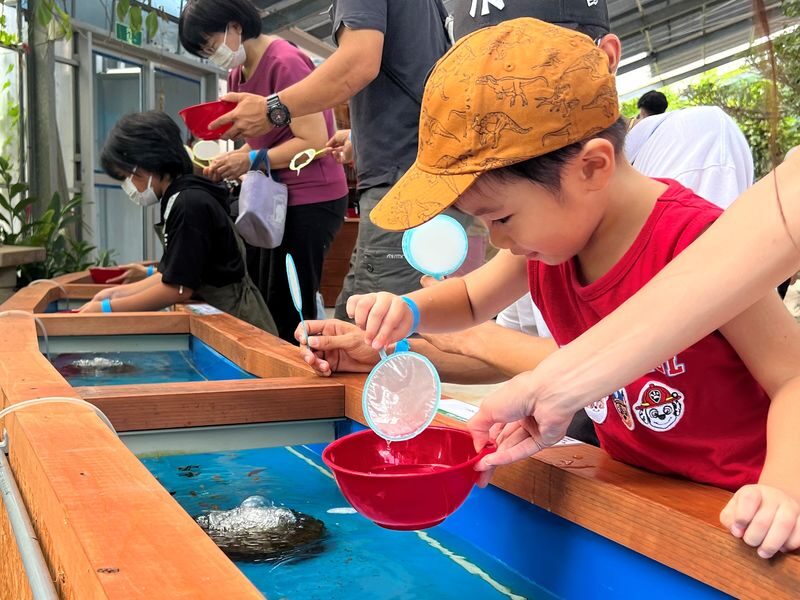 Okinawa Fishing Treasure Hunt Adventure Kingdom (All-weather Indoor Parent-Child Park-Fishing and Digging for Treasure) - A self-guided outing in Uruma