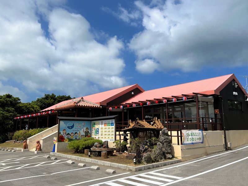 Okinawa Fishing Treasure Hunt Adventure Kingdom (All-weather Indoor Parent-Child Park-Fishing and Digging for Treasure) - Dinosaurs, insects and the maze