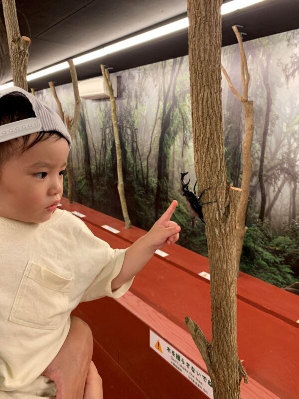 Okinawa Fishing Treasure Hunt Adventure Kingdom (All-weather Indoor Parent-Child Park-Fishing and Digging for Treasure) - What the ticket covers, and what it does not
