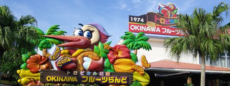 Okinawa Fruits Land Ticket - What to Know Before You Go