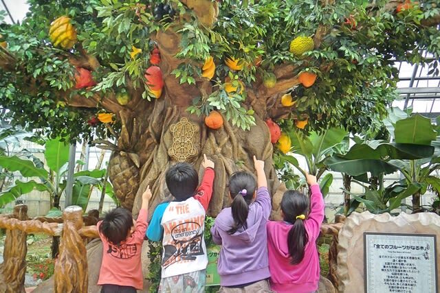 Okinawa Fruits Land Ticket - Café Stops, Fruit Plates, and Souvenirs