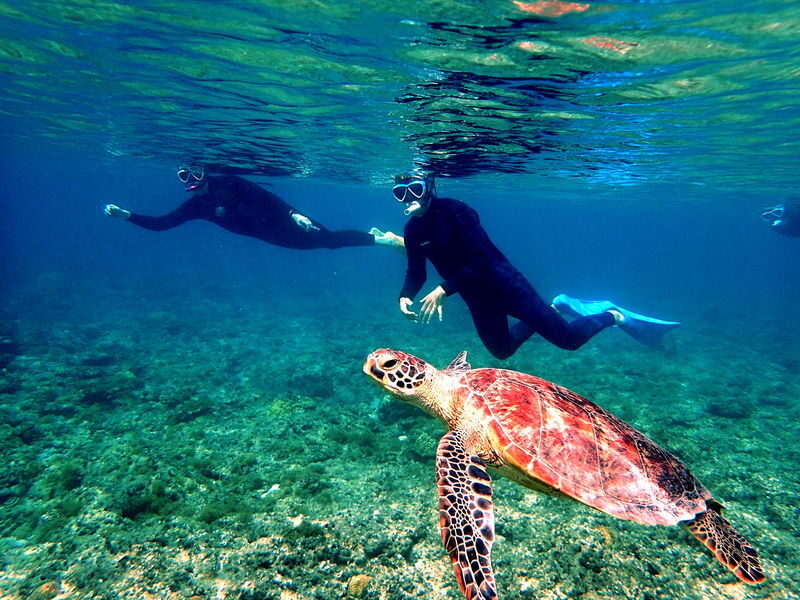 Okinawa: Full-Day Kerama Islands National Park Snorkeling Tour - Three reefs, not three island visits