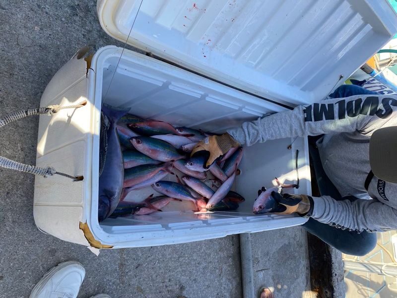 Okinawa Half-Day Fishing Charter (includes fishing gear and bait, ages 3+ welcome) - Three hours on the water, with less time on the rod