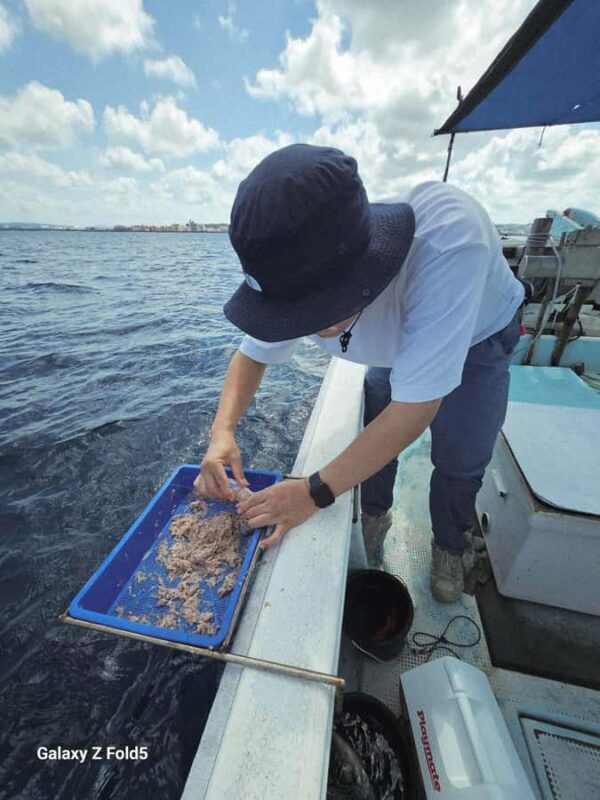 Okinawa: Half-Day Fishing Trip with Local Fisherman - Okinawa: Half-Day Fishing Trip with Local Fisherman – A Truly Authentic Marine Adventure
